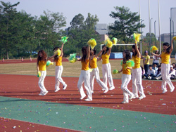 2008118-95911.jpg 2008118-95911.jpg