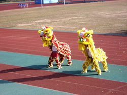 2008118-95929.jpg 2008118-95929.jpg