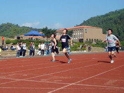 2008118-93019.jpg 2008118-93019.jpg