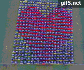gif5 7