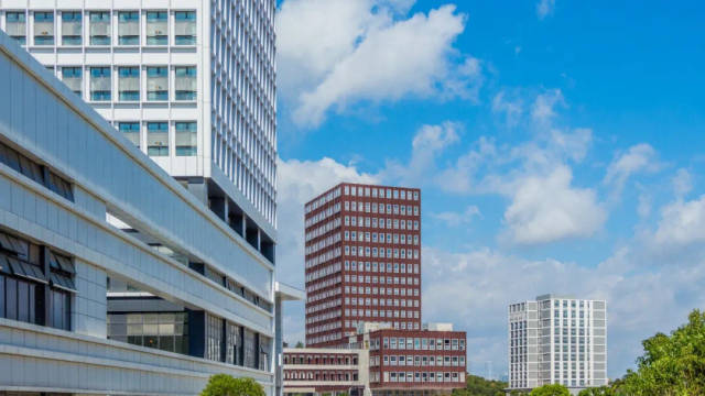 深圳技术大学进步最大,比上期提升306名