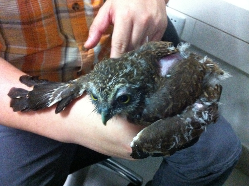 2011-5-31-003.jpg 2011-5-31-003.jpg