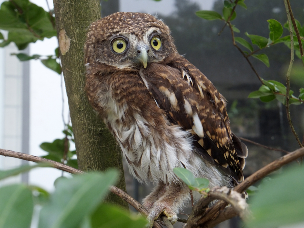 2011-5-31-004.jpg 2011-5-31-004.jpg