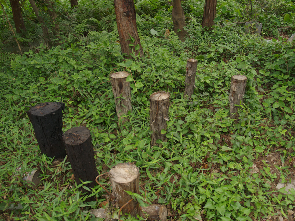 20090227-20.jpg 20090227-20.jpg